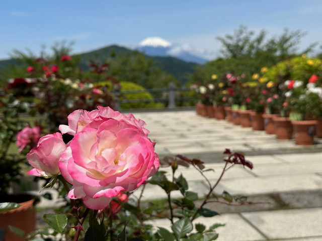 神奈川県立恩賜箱根公園